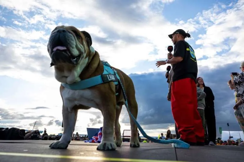 LEWIS HAMILTON MOURNS BELOVED DOG ROSCOE AFTER HEARTBREAKING GOODBYE LEWIS HAMILTON MOURNS BELOVED DOG ROSCOE AFTER HEARTBREAKING GOODBYE