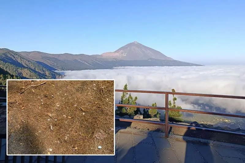 Anger over the amount of discarded cigarette butts at Tenerife’s most popular viewpoint