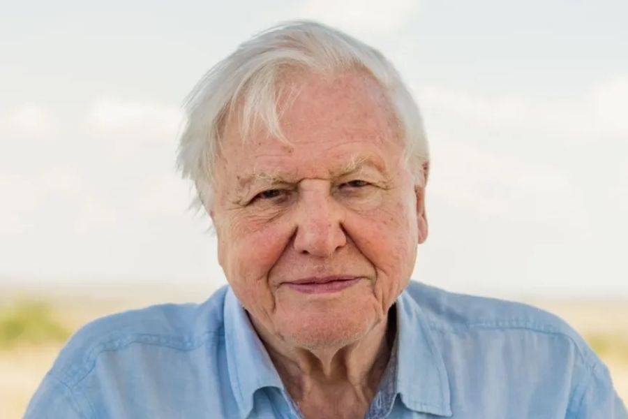 SIR DAVID ATTENBOROUGH’S FILM EARNS £2.5MILLION AND BREAKS RECORDS