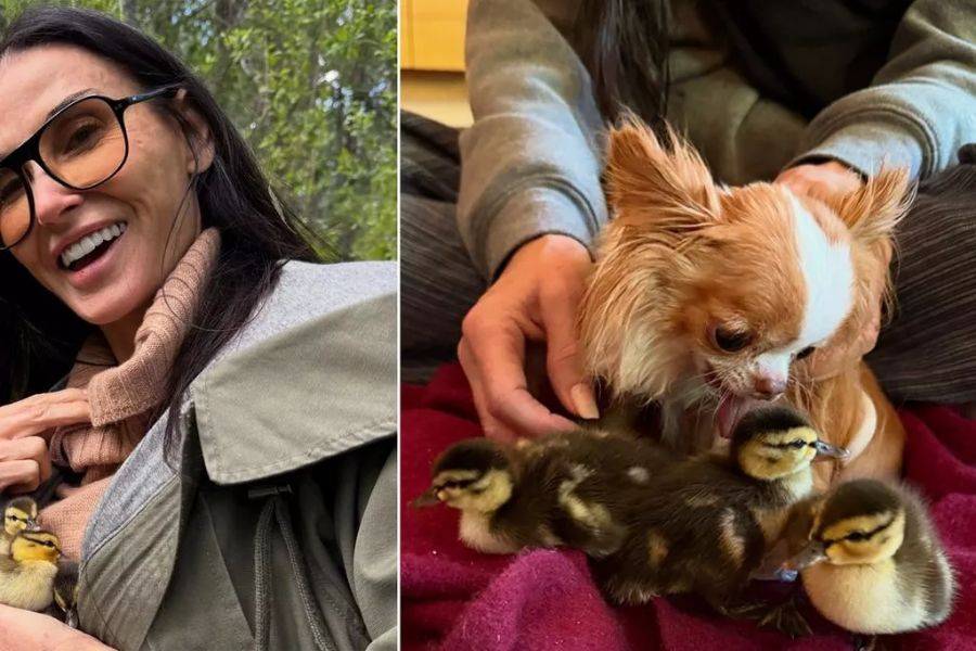 DEMI MOORE SAVES DUCKLINGS, BUT HER FOLLOWERS AREN’T QUACKING WITH JOY